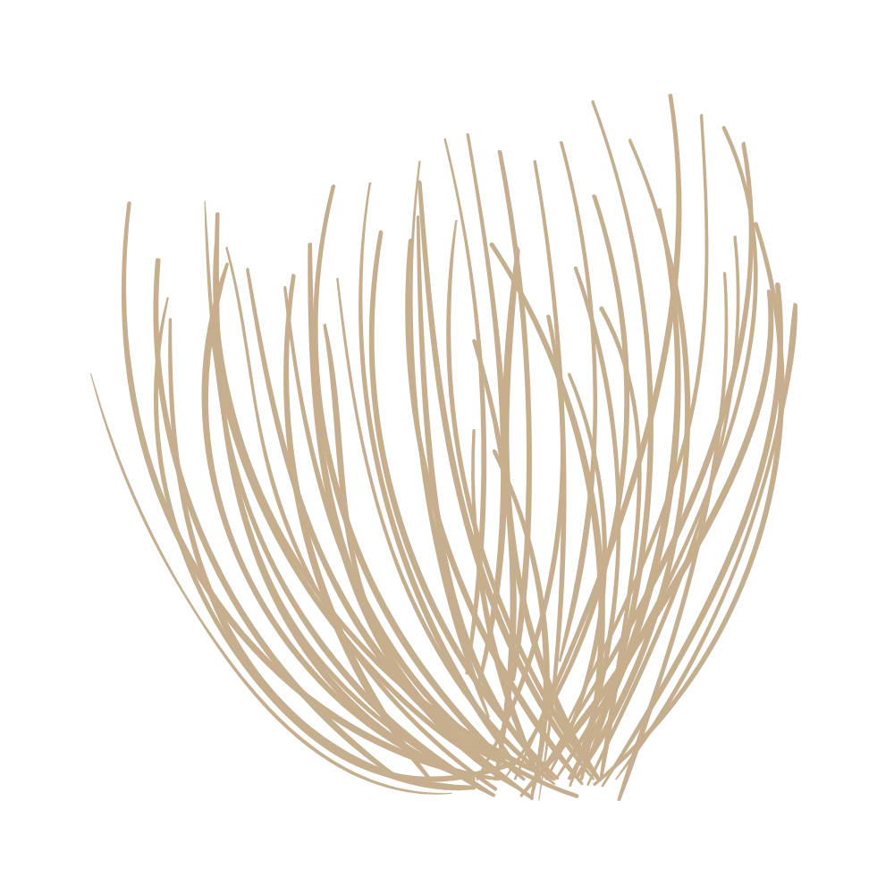 le linge du bassin - illustration 1