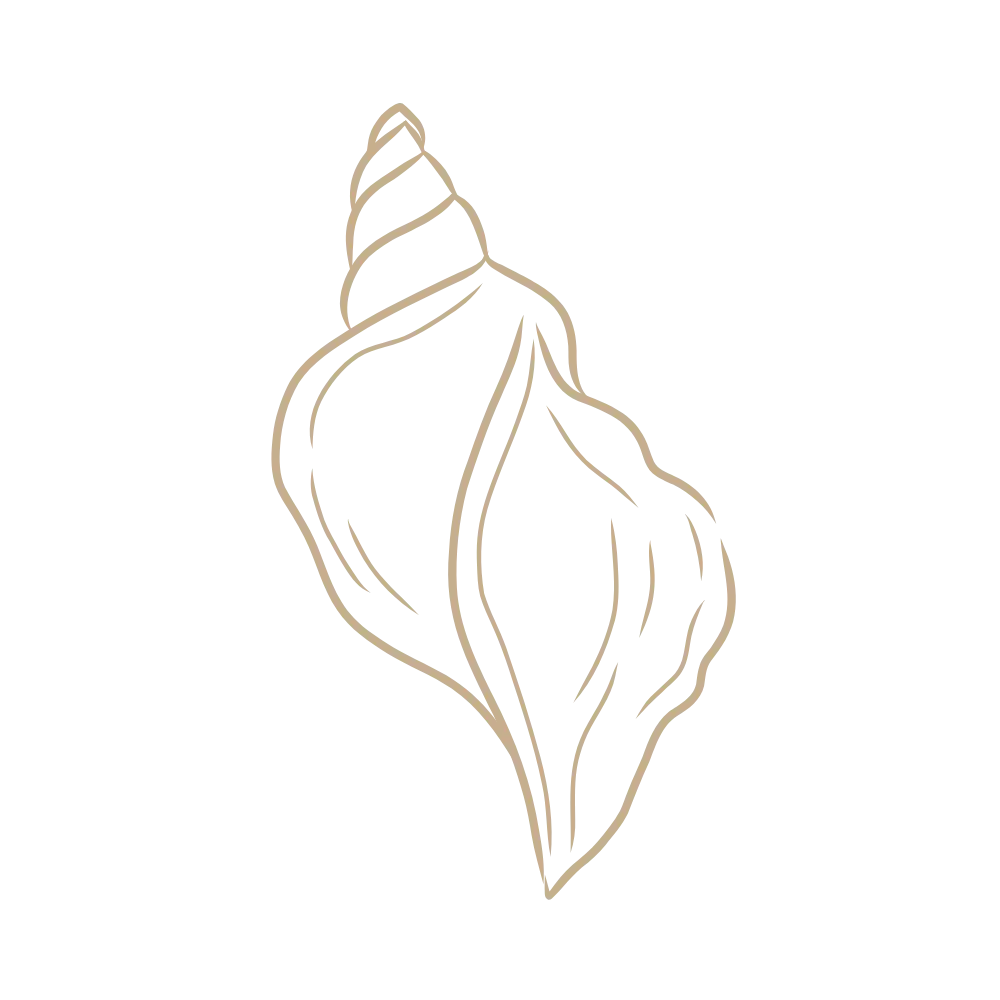 le linge du bassin - coquillage