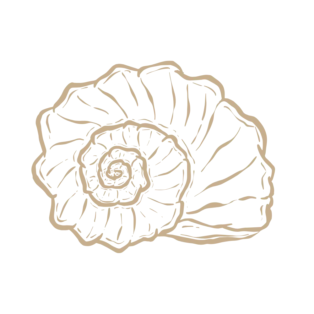 le linge du bassin - illustration 4